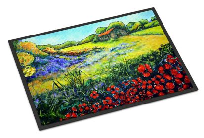 NEW Back Home Doormat Front Door Mat Indoor Outdoor Rugs for Entryway, Non Slip Washable Low Pile, 18H X 27W